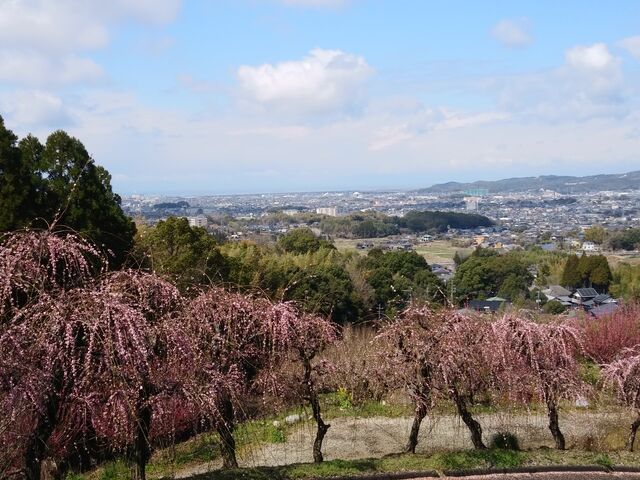 �s�X�n�������낷�������߁B_������