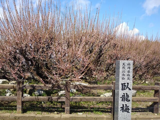 �痴�~�B��͒Ⴂ�̂ɌÖ؂̕��i������܂����B_������