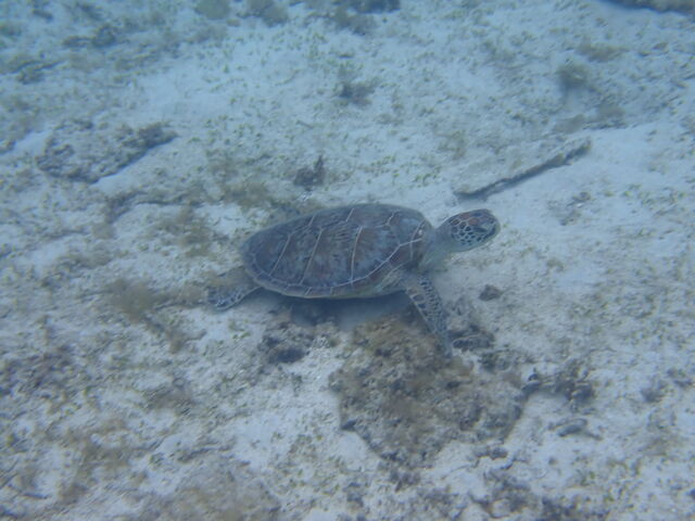 �E�~�K��1_�}�������B���b�W����