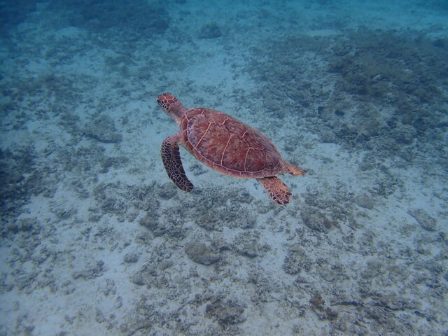 �E�~�K��2_�}�������B���b�W����