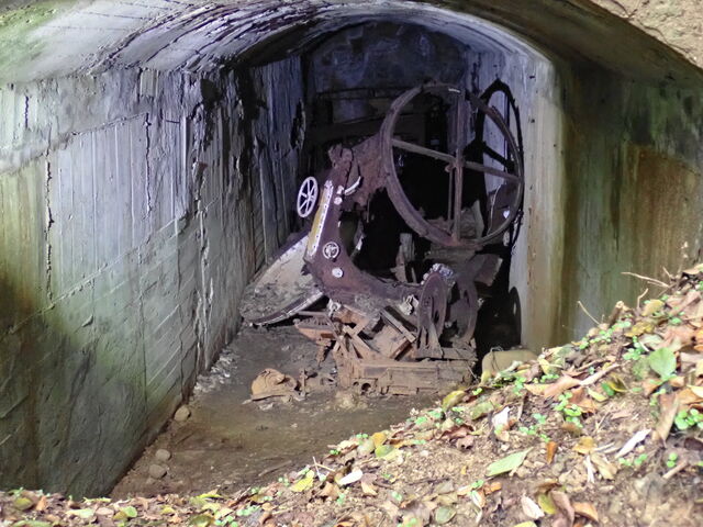 }Cann̒TƓnՂƘZ{wn̓eʐ^1