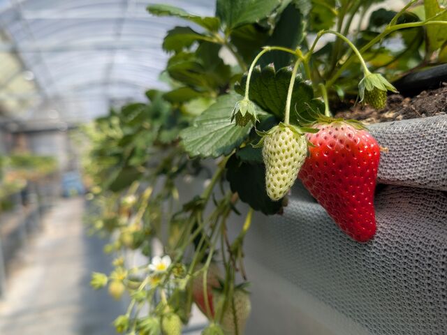 �q�ǂ������l�܂Ŋy���܂��Ă��������܂���
���肪�Ƃ��������܂����I_���c�_��