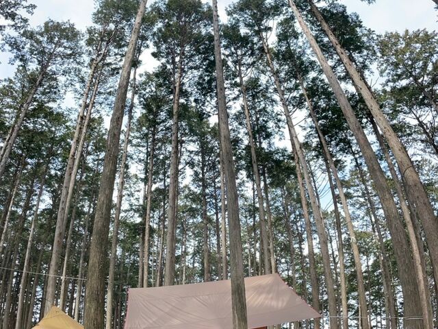 ���R�Ɉ͂܂��_�A�h�x���`���[�p�[�N �I�h���̐X