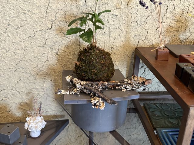 fGł_GALLERYy|tsuchiza|