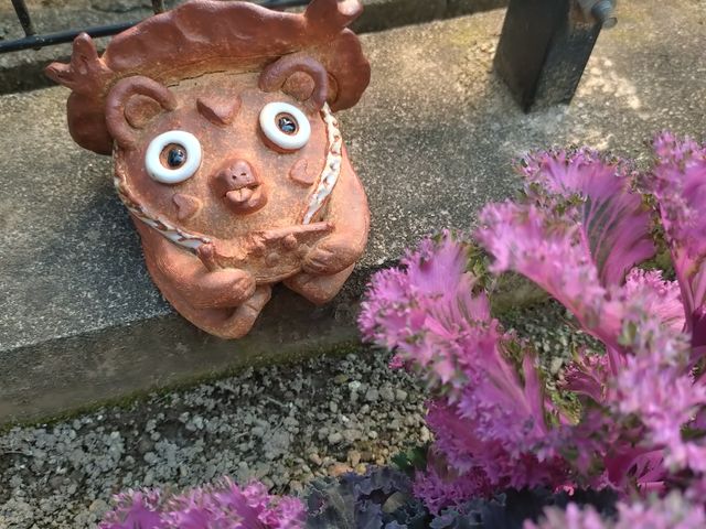 �}�}��/�X�C�J�̎��΂�_�̂ڂ�q�@�@����