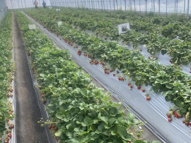 ����Ȃɂ������񂢂���������܂��B_�������̂�������