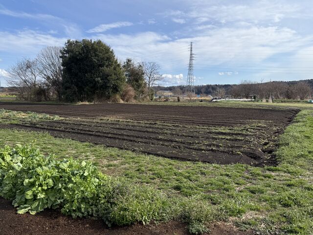 �Ⴉ�琰��ċC�����ǂ������ł�_�����n���_��