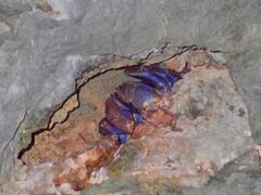 䂳̐Ί_ ADVENTURE PiPiւ̓eʐ^1