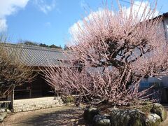 �T�N���T�N����̕������ւ̓��e�ʐ^1