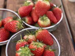 �Ђł���̏��c�_���ւ̓��e�ʐ^1