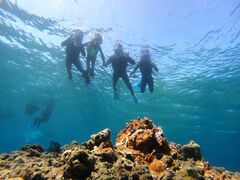 Ƃ̂̐Ί_ ADVENTURE PiPiւ̓eʐ^1