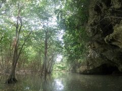 tbN̐Ί_ ADVENTURE PiPiւ̓eʐ^1