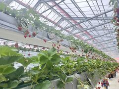 ���Ԃ����������̎ʐ^2