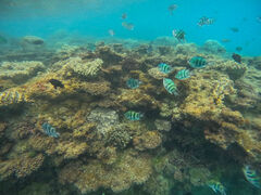 JIÑ_CrOVbvTI.OCEANւ̓eʐ^1