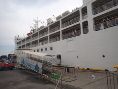 �}�C�a�n�n����̒|�ŎV���ւ̓��e�ʐ^1