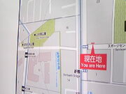 Tv̋ʐ㐅i?aRj̓eʐ^3