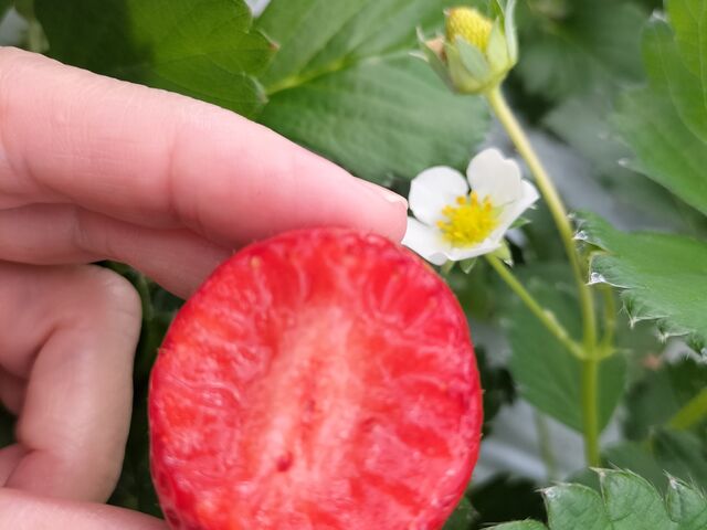 x[|bv̒fʁBނނÂČlIɂ̓x[|bvԍDB_䂢܁[FARM