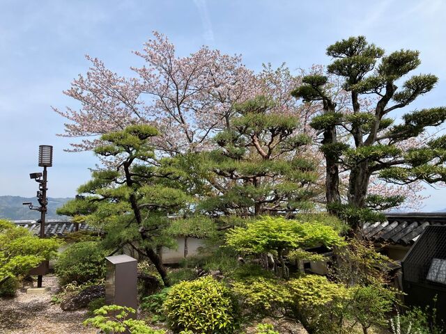 ���m�������