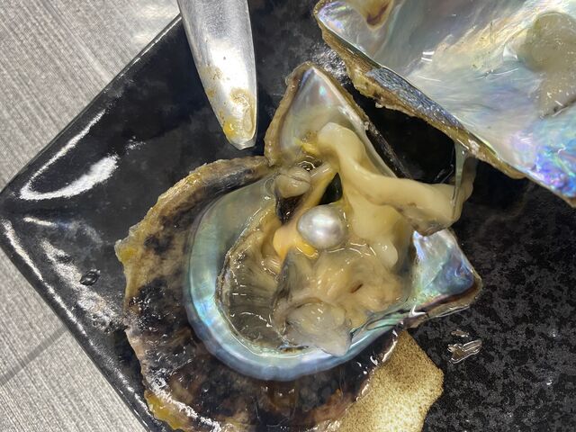 �o�Ă����I_PICOLABO