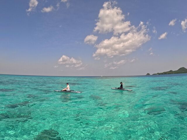 �C�̓����x�������������ł��I_�Ί_�� ����t�H�g�c�A�[ MONDO PIECE