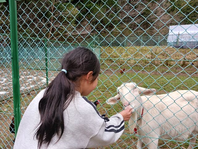 �a���_���������܂��_�� -�|�j�[����M��j���g���Ƃӂꂠ����R�̂��܂�������̃X�C�[�c�X-