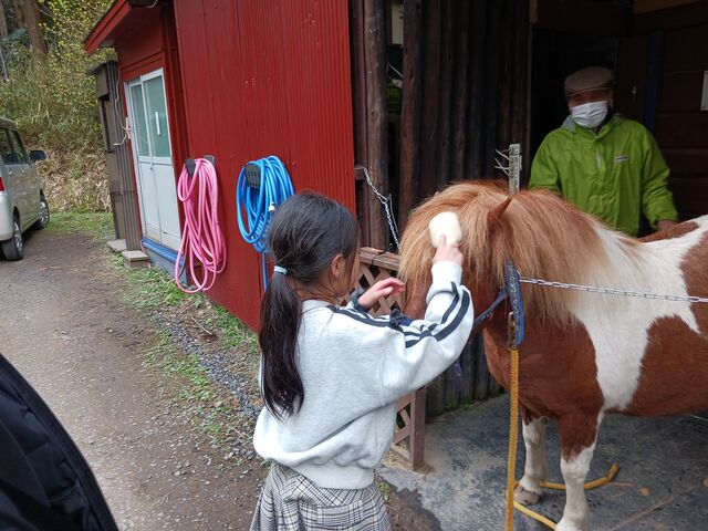 �|�j�[�u���b�V���O_���������܂��_�� -�|�j�[����M��j���g���Ƃӂꂠ����R�̂��܂�������̃X�C�[�c�X-