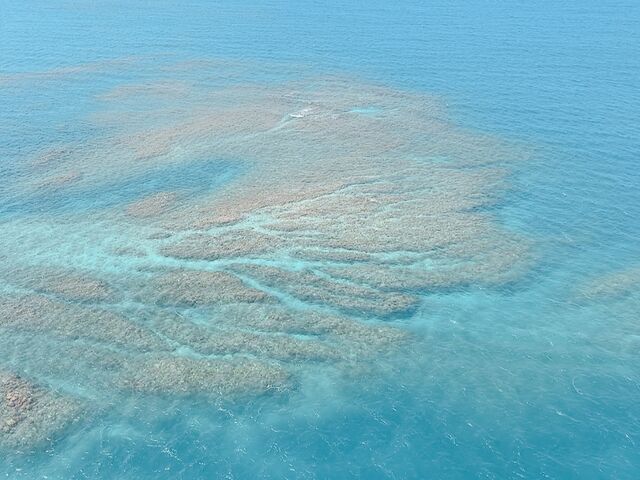 ��󂩂�݂��C_�{�Ó��p���Z�[�����O all good marine 385