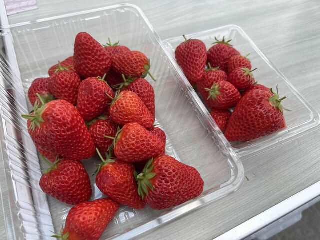 �ƂɋA���Ă��H�ׂ܁[��_���c�������t�@�[��