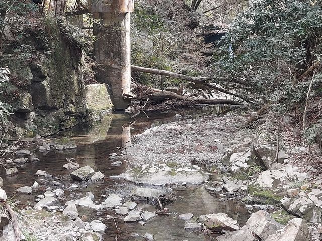 ����̕ӂ�͕��͋C������܂�_�ےË�