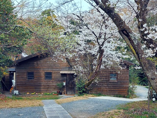 �������̕t�߂ɂ̓J�t�F�A�����������񂪂���܂�_�ےË�