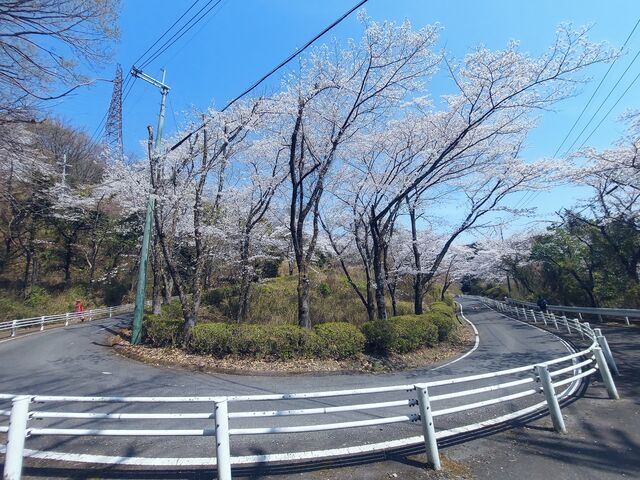 ����ʍs�̘e�̕�������_�ےË�