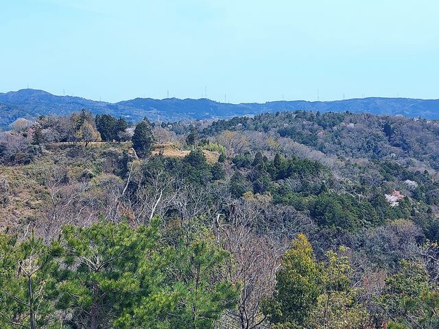 �W�]�䂩��������̎O�D�R�������܂�
�O�D�R���ō��ł�_�ےË�