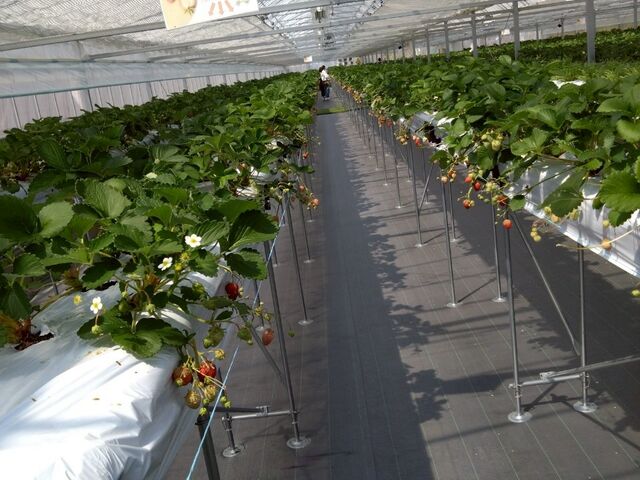 �����ēE�߂�̂Ŋy����_Green Room