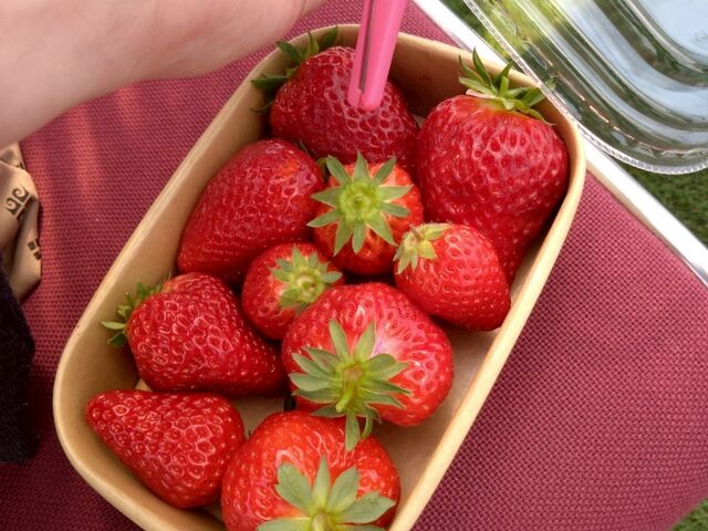 �s�J�s�J�����������イ���イ�l��_Green Room