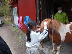 䂽䂸̂܂_ -|j[MjgƂӂꂠR̂܂̃XC[cX-ւ̓eʐ^4