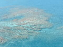 [񂳂̋{ÓpZ[O all good marine 385ւ̓eʐ^1