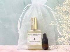 ~[Ⴓ̃A}Ǝ肹񋳎RoomSealiahւ̓eʐ^2