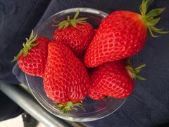 Ƃ邳goone5ւ̓eʐ^1