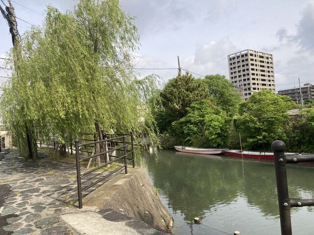 ���ӂ̎U��_���ӂ̎U����