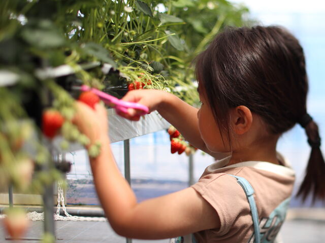 ��l�̓w�^�̍����ł�����܂����A�͂̂Ȃ����т��q�ɂ́A�q���T�C�Y�̂͂��݂�݂��Ă��������܂����I_�Ƃ悳��t�@�[����������