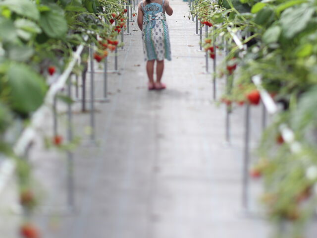 ���̓��͂��܂��܎������������̎��ԑтɂ��Ȃ��āA�݂��؂�C���ł�����_�Ƃ悳��t�@�[����������