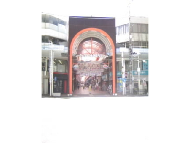 A[P[hXɂ镽ar̃~[WA_L}~[WA in 