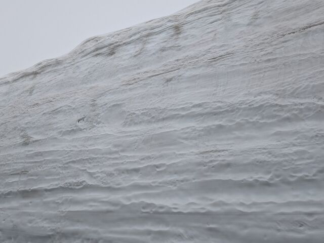 2025N420@̕ǖ16_RAy[gyxRz