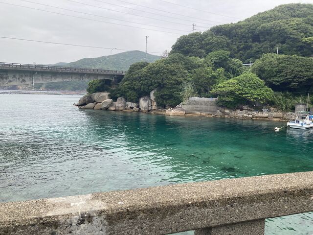 �G�������h�O���[���̊C_�����_�C�r���O�T�[�r�X�@Smiley Dive