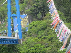 ���񂿂�񂳂�̗��_��݋��ւ̓��e�ʐ^1