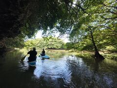 hiro̐Ί_ ADVENTURE PiPiւ̓eʐ^1