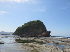 �Ă�������̍��q�Y�C������ւ̓��e�ʐ^1