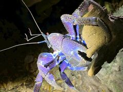 ܂񂳂̐Ί_ ADVENTURE PiPiւ̓eʐ^1