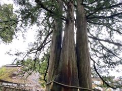 ��������̌ˉB�_�Ё@���Ђւ̓��e�ʐ^1