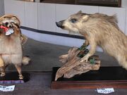 Ƃ񂳂̓̉w ӂǂ́uӂ̉wv̓eʐ^5